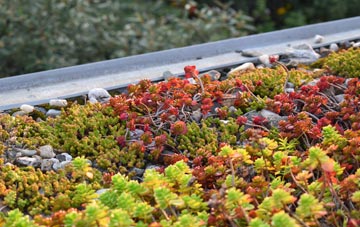 the cost of Rackheath green roof installation