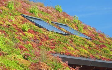Rackheath living roof systems